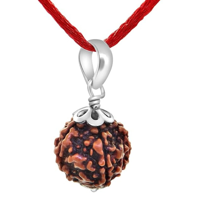5 Mukhi Rudraksha (Nepali)