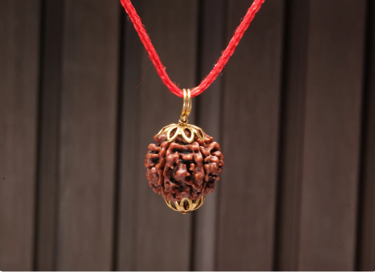 7 Mukhi Rudraksha