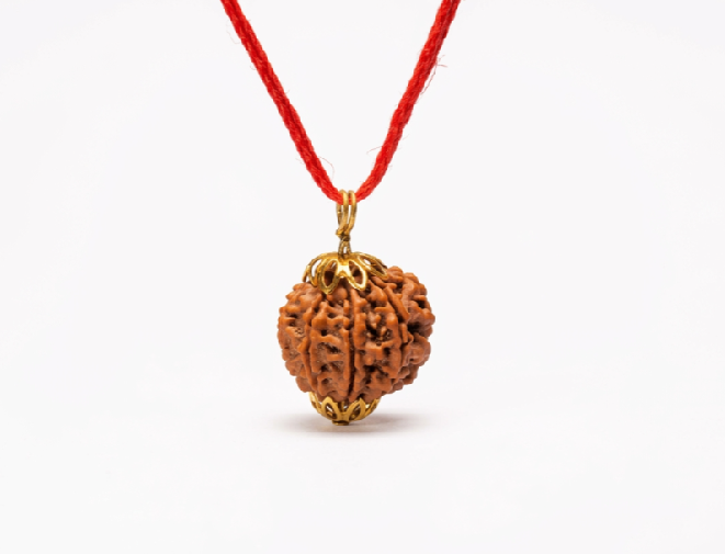 9 Mukhi Original Nepali Rudraksha