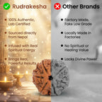 3 Mukhi Rudraksha (Nepali)