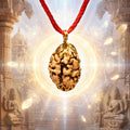 3 Mukhi Rudraksha (Nepali)