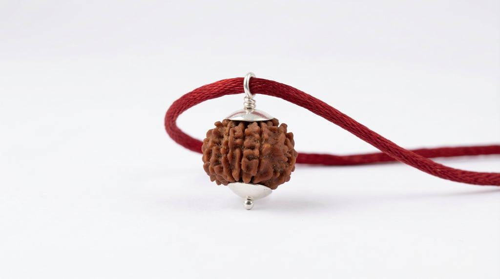 5 Mukhi Rudraksha (Nepali)