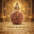 5 Mukhi Rudraksha (Nepali)