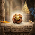 Nepal Origin 4 Mukhi Rudraksha - 17mm to 22mm