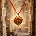Nepal Origin 6 Mukhi Rudraksha - 17mm to 22mm