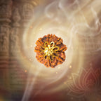 Nepal Origin 8 Mukhi Rudraksha - 17mm to 22mm