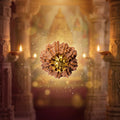 Nepal Origin 10 Mukhi Rudraksha - 17mm to 22mm