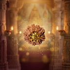 Nepal Origin 10 Mukhi Rudraksha - 17mm to 22mm