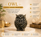 Money Magnet Owl & Pyrite Owl Combo