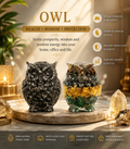 Money Magnet Owl & Pyrite Owl Combo