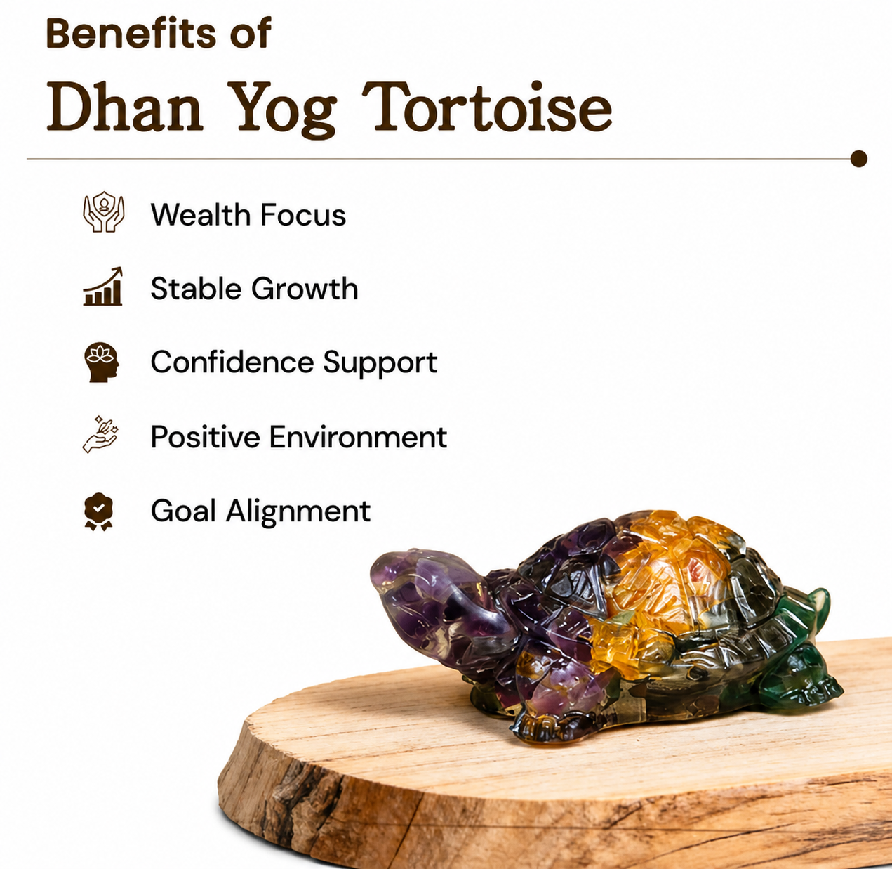 Vastu Dhan Yog Tortoise (Kacchua)