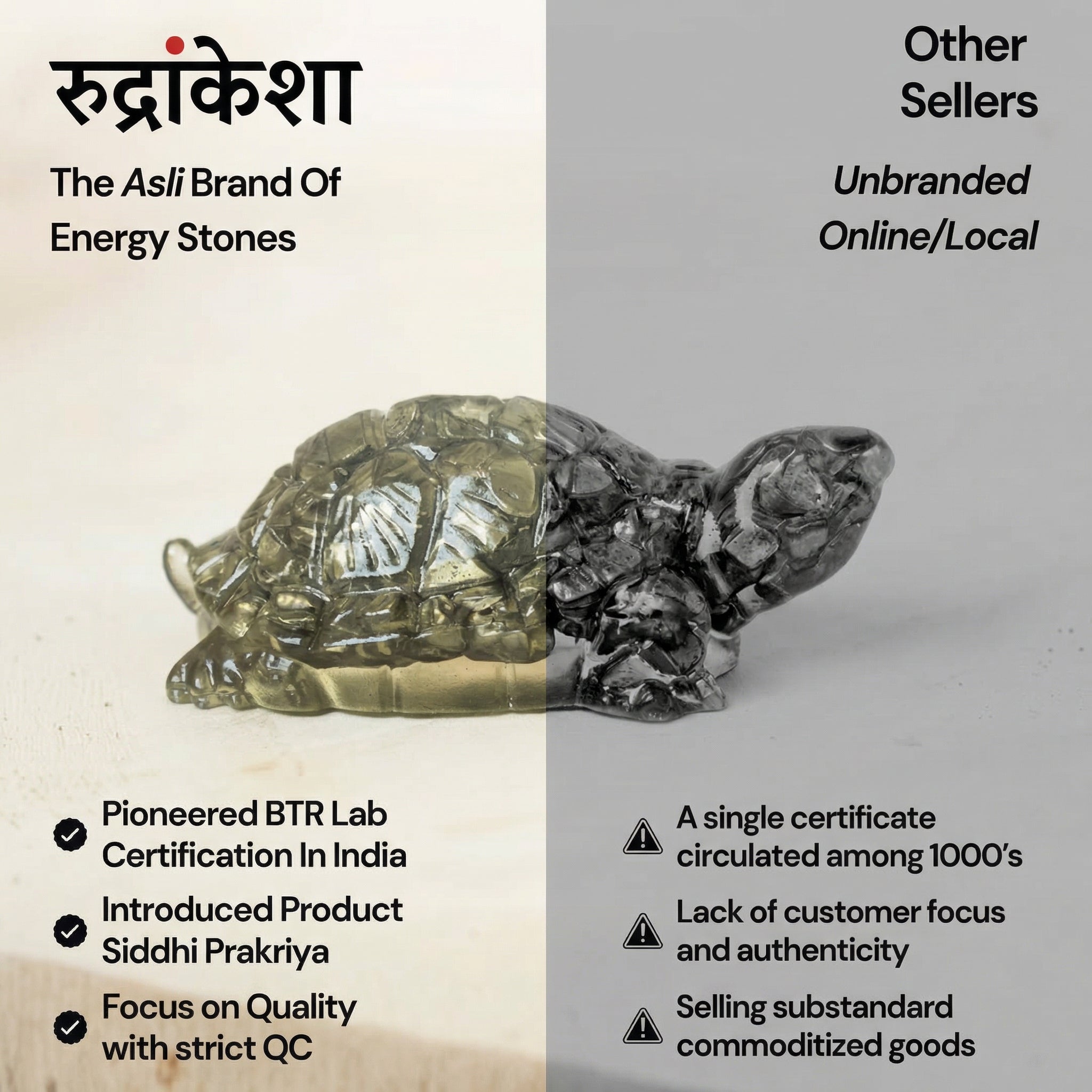 Pyrite Prosperity Tortoise (Kachhua)