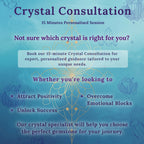 Expert Consultation