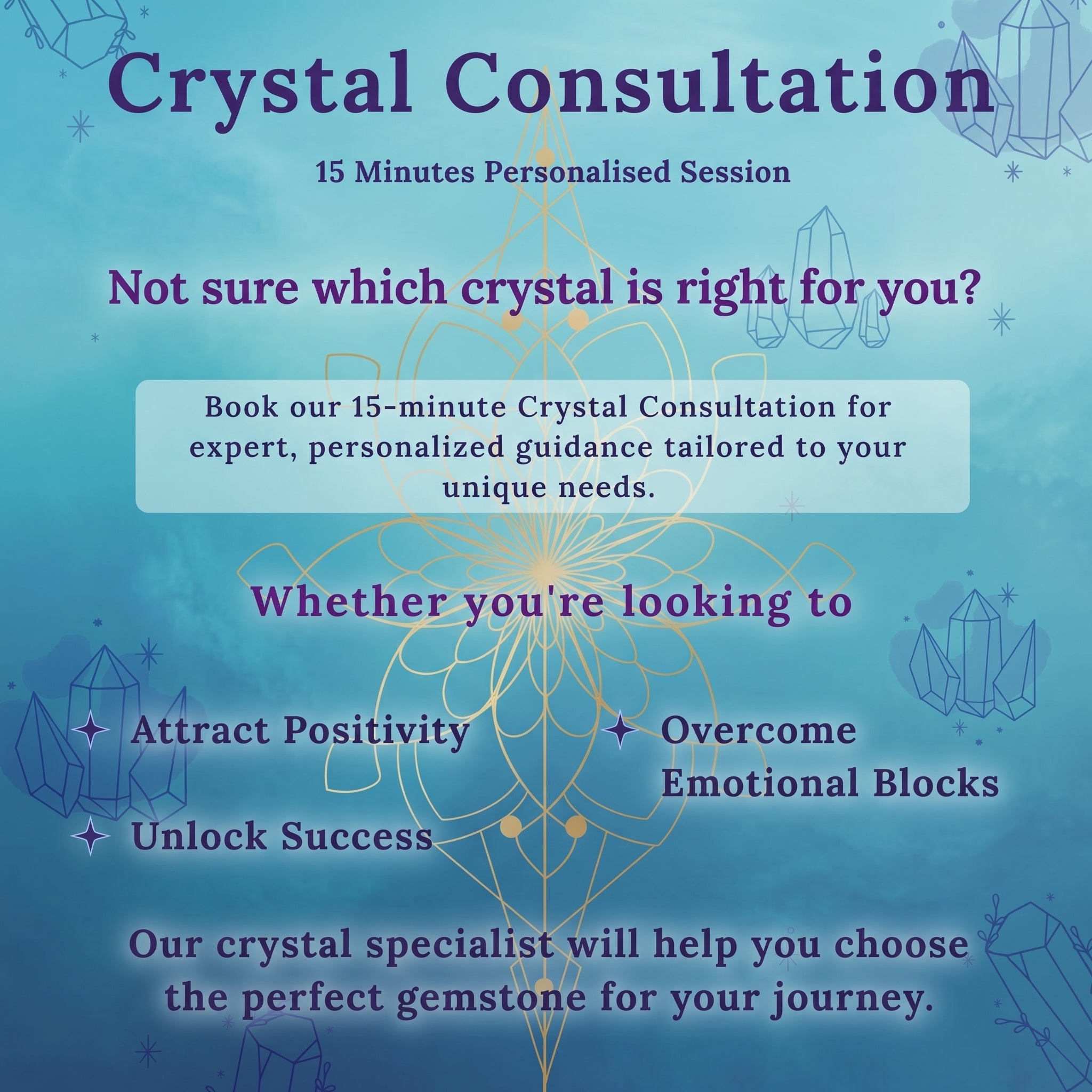Expert Consultation
