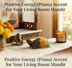 Vastu Dhan Yog Tortoise (Kacchua)