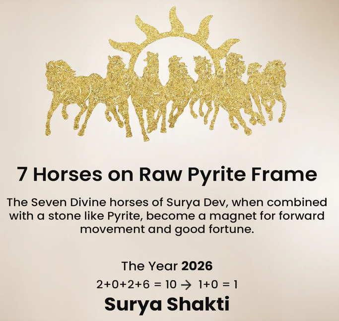 7 Horses Pyrite Frame & Pyrite Tortoise Dhan Vriddhi  Combo