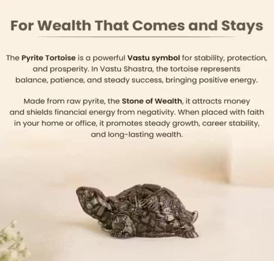 7 Horses Pyrite Frame & Pyrite Tortoise Dhan Vriddhi  Combo