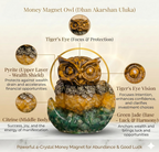 Money Magnet Owl