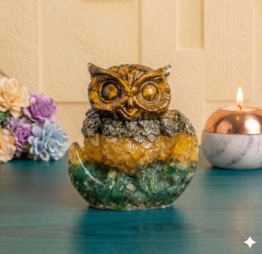 Money Magnet Owl