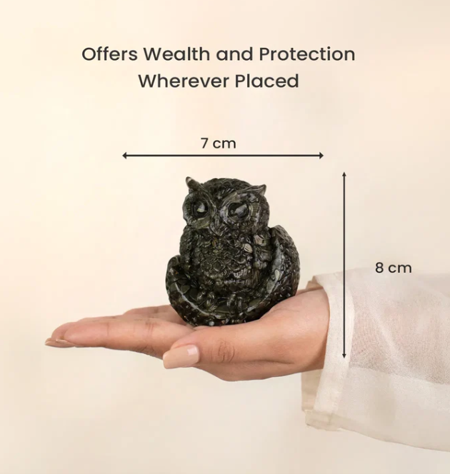 Money Magnet Owl & Seven Horses Pyrite Frame Combo
