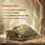 Pyrite Prosperity Tortoise (Kachhua)