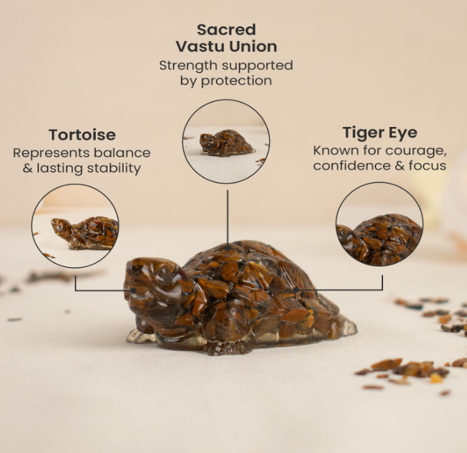 Triple Protection Tortoise