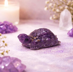 Amethyst Tortoise