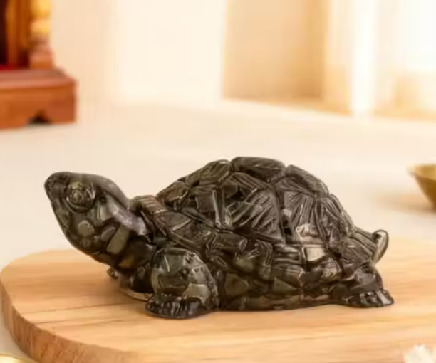 7 Horses Pyrite Frame & Pyrite Tortoise Dhan Vriddhi  Combo